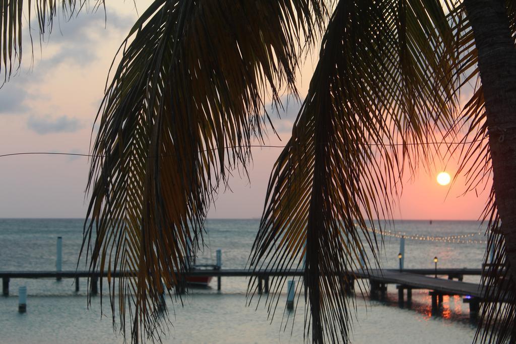 Aruba Surfside Marina Hotel Oranjestad Exterior photo